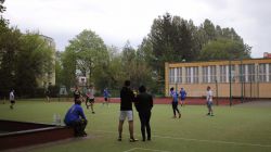 98.jpg